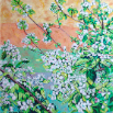 Apple Blossoms