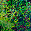 The Cherry Tree