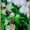Orchids