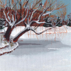 Frozen Lake