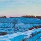 Cold Winter