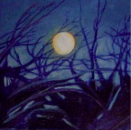 IowaWinterMoon